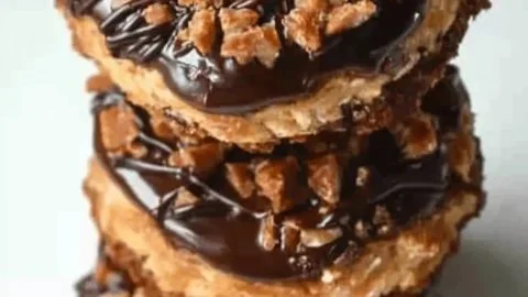 Delicious homemade Samoas cookies with coconut and caramel on a plate